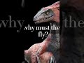 #jurassicpark #indoraptor