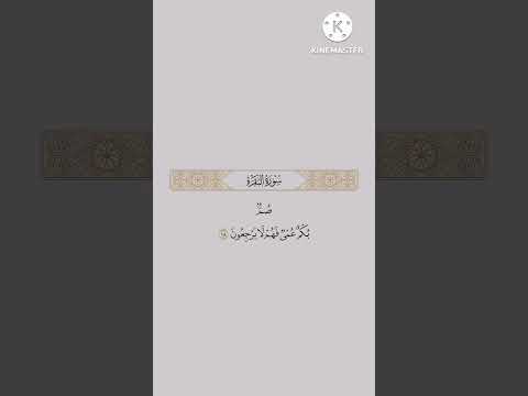 سورة البقره من اية ١٧ الى ٢٤ مكرر ٢٠ مره