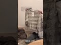 たまたましまむら行ったら値下げ品が沢山あったよー♡可愛いものぱぱぱっと選んで帰宅🥰#しまむら #プチプラ #節約 #アラサー