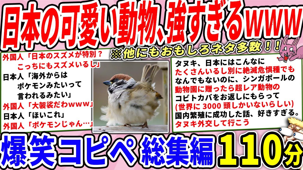 日本のアニマル、可愛さで世界をビビらせてしまう・・・
