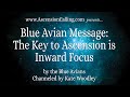 Blue Avian Message: The Key to Ascension is Inward Focus | Kate Woodley