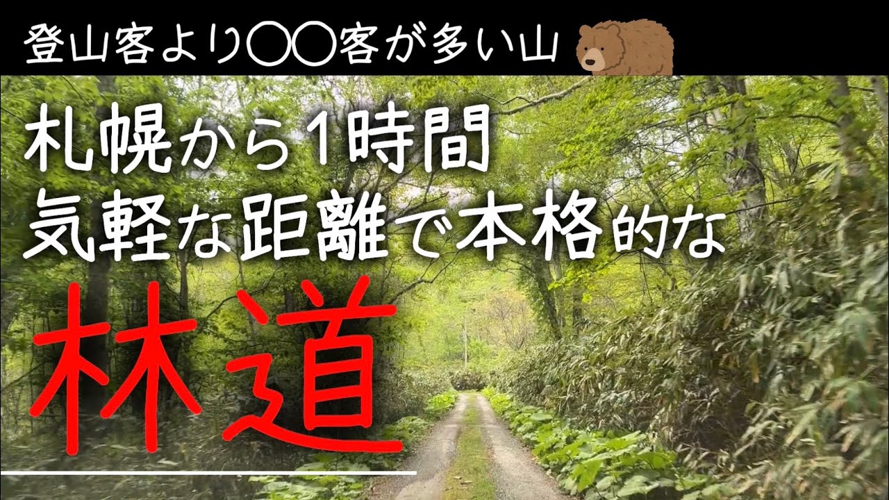 【中古】十勝の自然を歩く 楽天市場】【中古】 十勝の自然を歩く : バリューコネクト