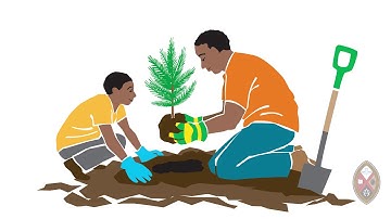 Hope: Advent Unwrapped 2017