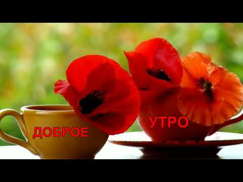 С добрым,летним утром!