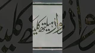Dr Saeed Ur Rehman Ch  Medical Specialist  Bhu Khohar  Sarai Alamgir  Maryam Nawaz Health Clinic