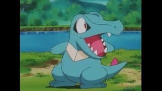 Totodiles Cute Moments