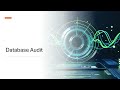 Database Audit