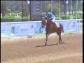 2e course  gd prix de son altesse royale le prince moulay rachid  ps arabes  1750 m