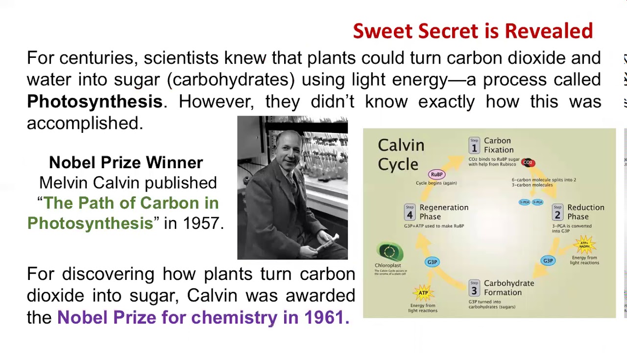 RadioIsotopes used in Biology YouTube