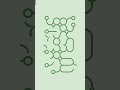 Today again someone has given a new reason to live.#loop8 #playstation #playing #gameplay #mindgames