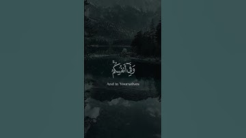 سورة الذاريات  #المصحف #ارح_قلبك #coran #قرآن  #راحة_نفسية