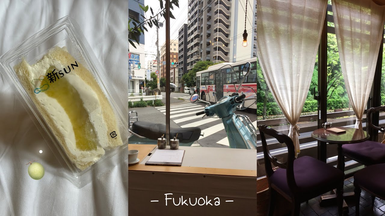 【VLOG】 🇯🇵 비 내리는 후쿠오카 .. ☔️ [ 신선산도 / 아베키 / 코히비미 ]