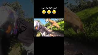 Когда прокатил девушку на заднем колесе #shorts #мотовлог #мото #bike #motovlog #fyp #justrunrider