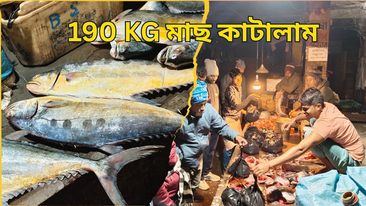 অনুষ্ঠান বাড়ির জন্য ১৯০ কিলো মাছ কাটালাম 😱 | Village Fish Cutting Vlog
