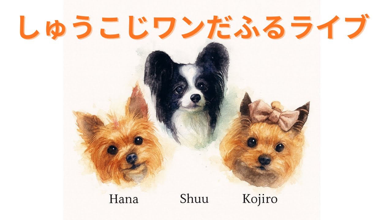 ワンライフ・セカンドライフ がライブ配信中！