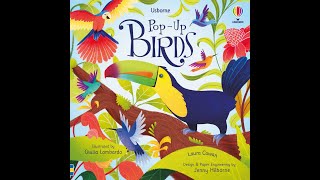 Usborne Pop-up Birds