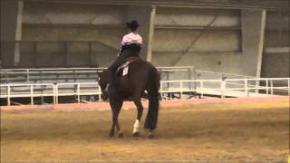 GSH 04152015   Western Horsemanship