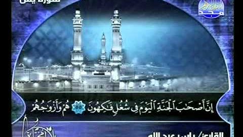 سورة يس - تلاوات مختارة - للشيخ ياسر عبد الله
