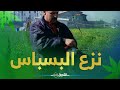 Guidelines for farmers How to harvest and remove fennel mp3
