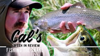 Cal in the Field: Rewards for Rainbows  Fishing the Snake | S2E02 | MeatEater