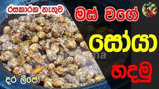 ✔රසකාරක නැතුව මස් වගේ සෝයාමීට් | Soya Meat Recipe Sinhala | Soya Meat Curry Sri Lankan | Ape kema