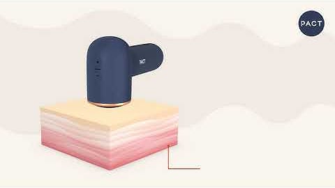 Pact: The Power of a Personal Trainer in Your Hands