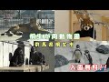 【桐生が岡動物園】すべて無料!! 魅力満載の動物園（群馬）