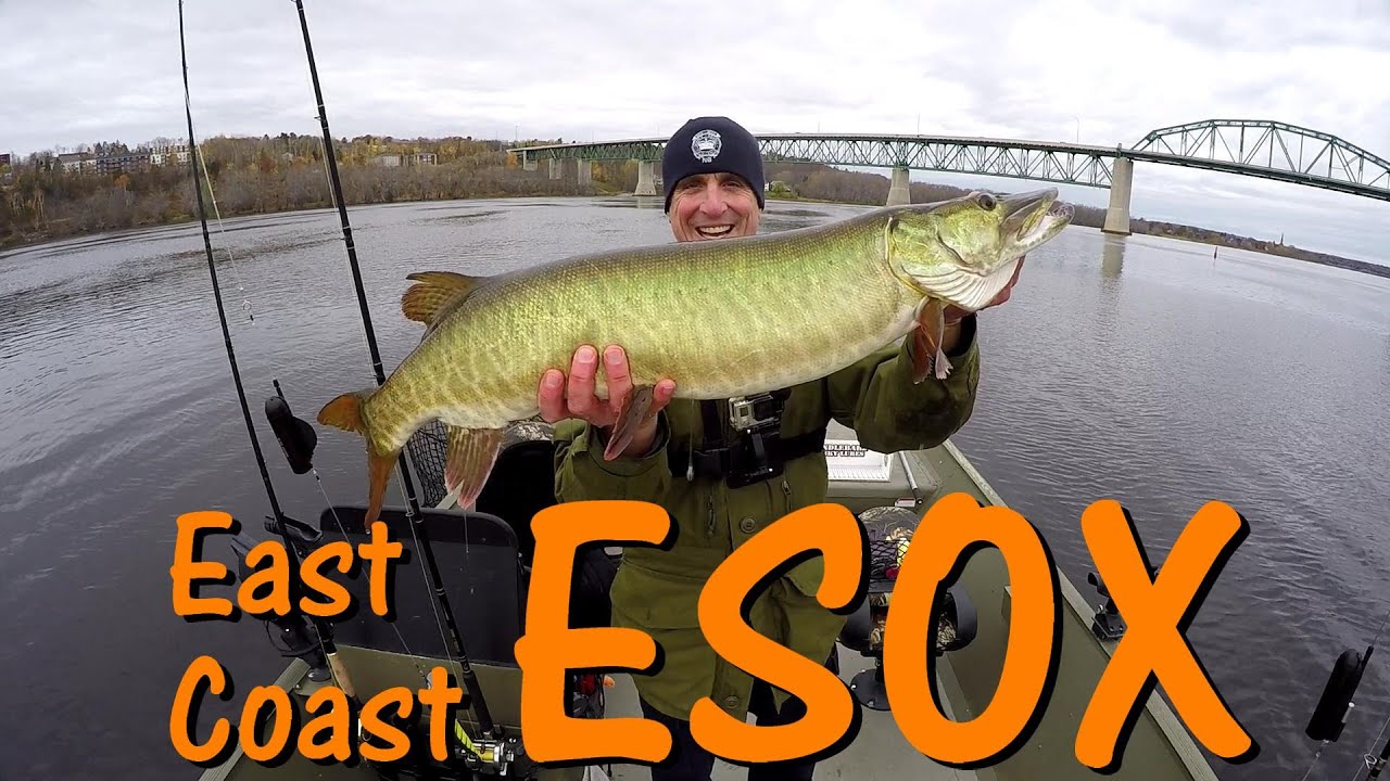 Late Fall Muskie Hunting New Brunswick Canada 2020Underwater Views