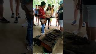 Cu Chi Tunnels, VNM 🌳 08.22.2025