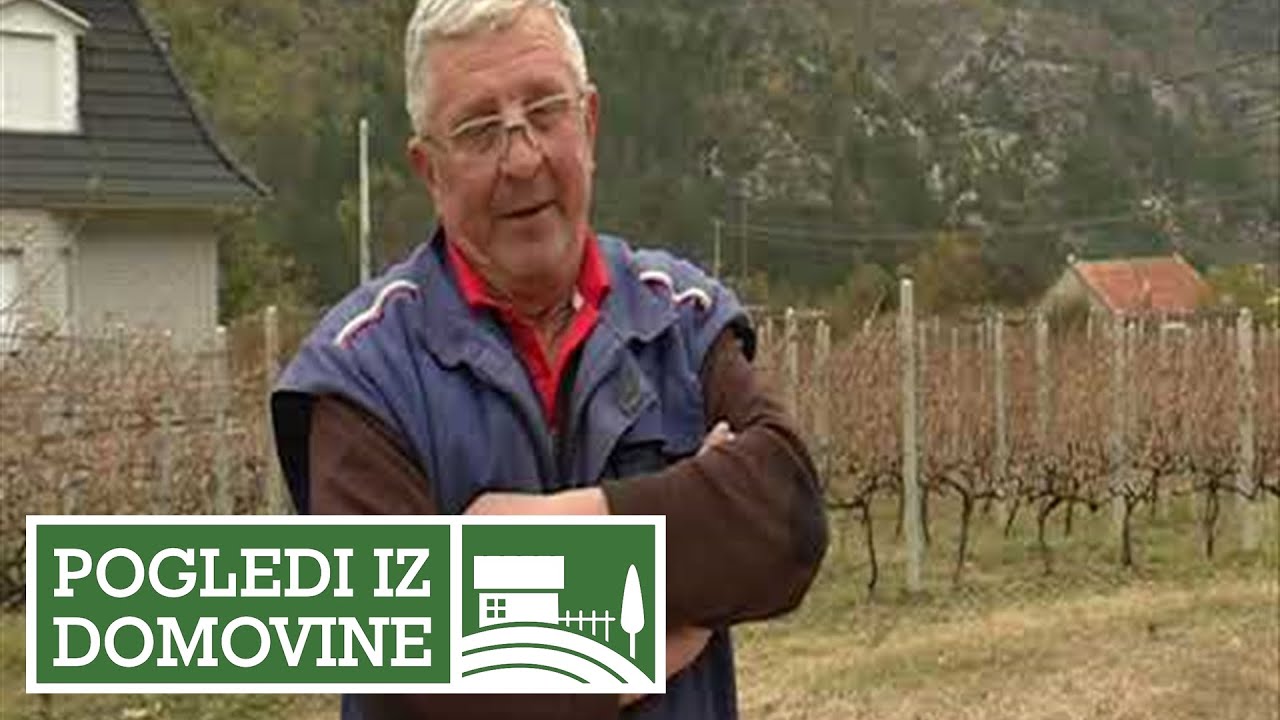 POGLEDI IZ DOMOVINE - Selo Nudo