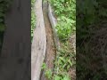 fort small nayagara/ nature/ music# telugu#