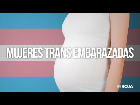 El embarazo trans.. ¿se puede? /miniRoja