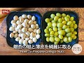 銀杏の殻と薄皮の剥き方　めん棒で下処理の仕方　#スマート中華 #銀杏 #Ginkgonuts