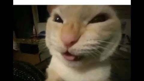 video presentasi pemrograman dasar javascript ~ tugas minggu ke 2 dpm