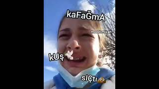 Kafama Kuş Sıçtı