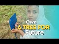 Own a tree for the future|Planting trees| Billion trees tsunami