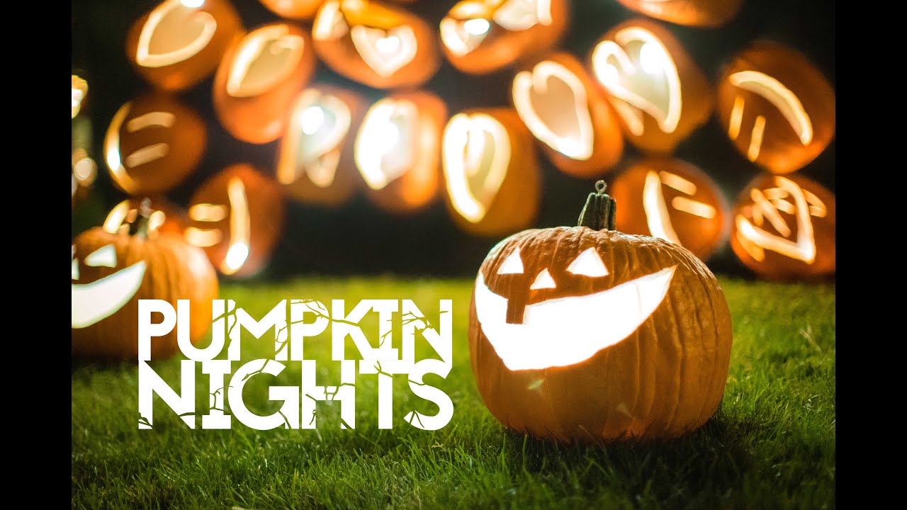 Pumpkin Nights Deals - wide 1