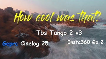 How cool was that? Cinematic Fpv flight with Geprc Cinelog 25/ Insta360 Go 2/Tbs Tango 2 v3/ Skyzone