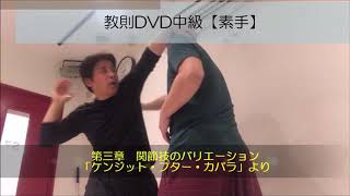 タクティカル・シラット教則DVD5種目6枚セット DVD | 教則DVD | シラット | 武術 | 武器術 |