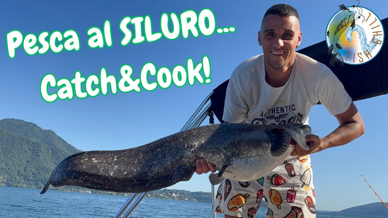 Pesca al SILURO... Catch and Cook!