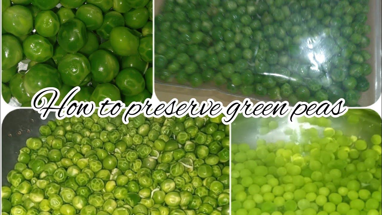 How to Preserve Green Peas Store Green Peas for 1 Year Easily BY