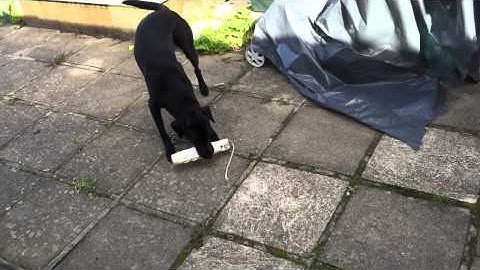 Hold until the click AND Drop at the click