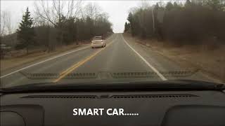 SMART CAR STUPID DRIVER