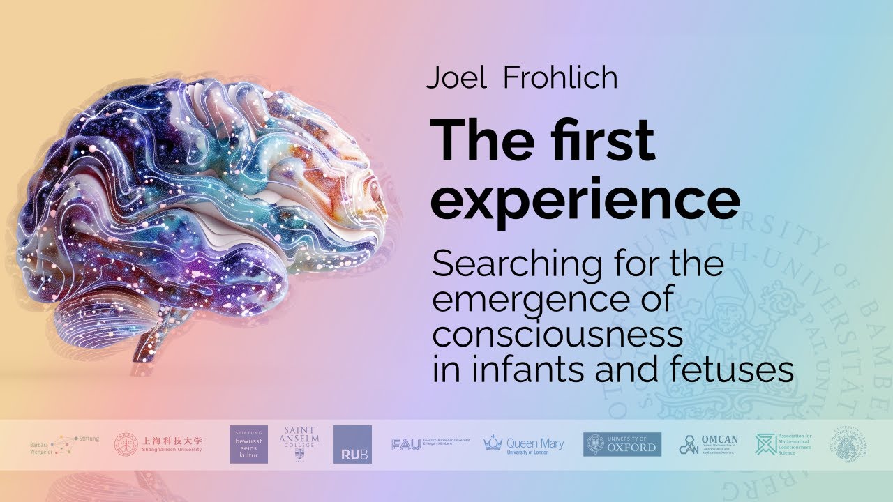 Joel Frohlich - Searching for the emergence of consciousness in infants and fetuses