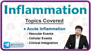 Acute Inflammation Vascular and Cellular events with Clinical integration   Pathology Lecture 3