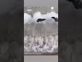 A 540-foot cooling tower was destroyed during a controlled implosion in Hartsville, Tennessee.