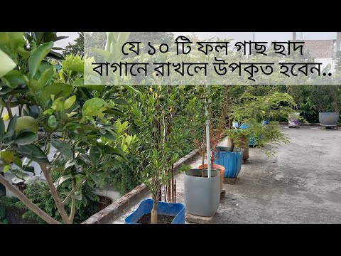 ভিডিও: এমন একটি গুরুত্বপূর্ণ বাগান বেঞ্চ