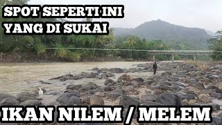 Kalo Kalian Lagi Mancing Cari Spot Yang Seperti Ini Dijamin Gacorrrrr