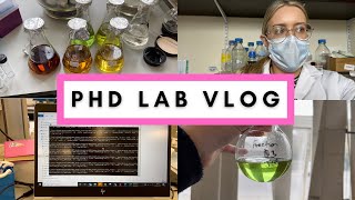 PHD LAB VLOG: no more masks, another VLC and doing jobs I’ve been putting off