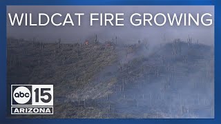 Wildcat Fire grows to more than 13,000 acres, closure continues for part of Tonto National Forest